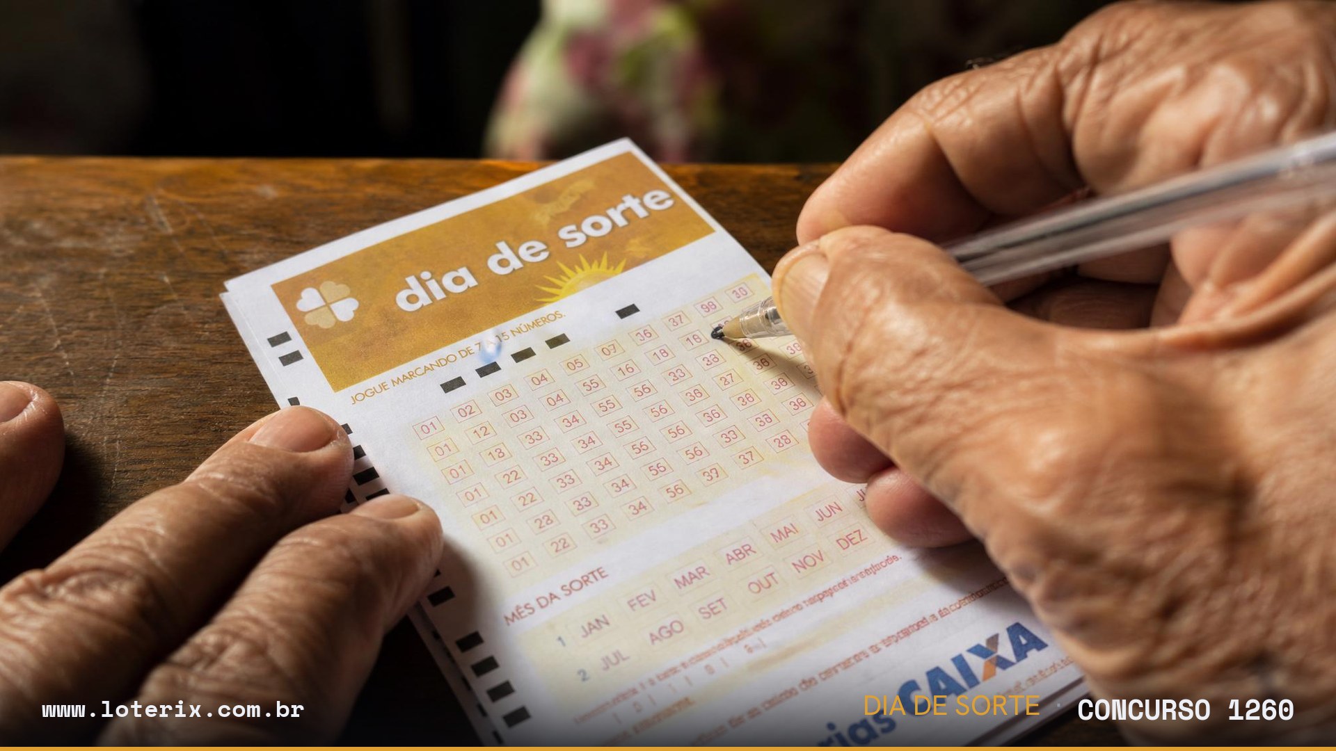 Dezenas sorteadas da Dia de Sorte 1260: 02, 03, 09, 11, 15, 21, 30