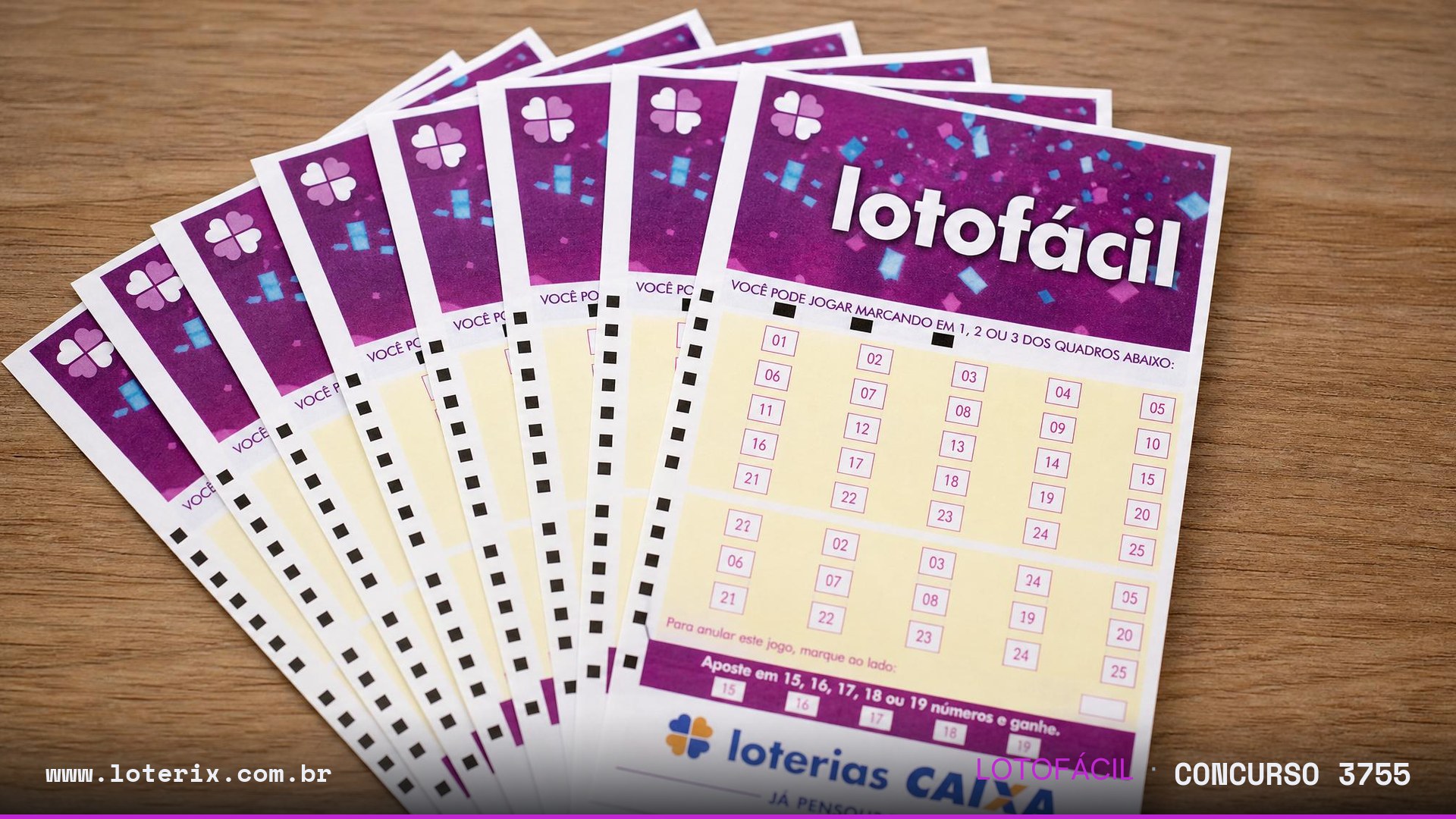 Dezenas sorteadas da Lotofácil 3755: 03, 04, 05, 07, 08, 09, 11, 12, 16, 18, 20, 22, 23, 24, 25